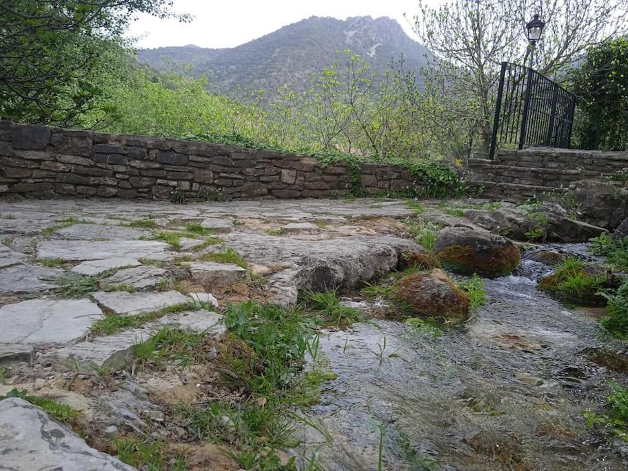 Alojamientos Sierra De Cadiz Benamahoma Exterior photo